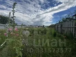 Участок в Белгородская область, Белгородский муниципальный округ, с. ... - Фото 2