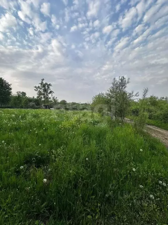 Участок в Хабаровский край, Хабаровск пос. Березовка,  (10.1 сот.) - Фото 1