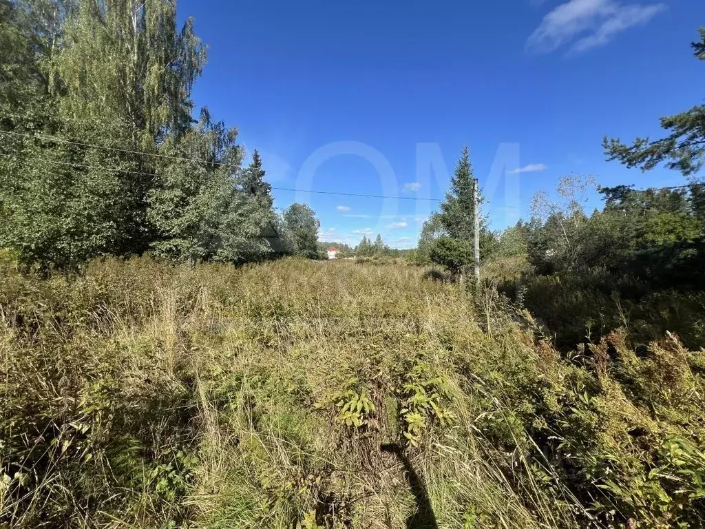 Участок в Ленинградская область, Приозерский район, Мельниковское ... - Фото 2