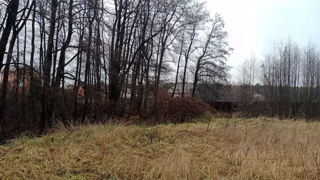 Участок в Московская область, Озеры Коломна городской округ, Цветочная ... - Фото 1