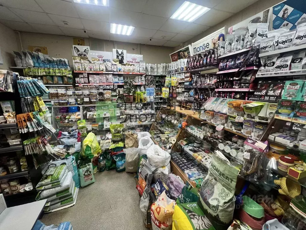 Помещение свободного назначения в Орловская область, Орел Октябрьская ... - Фото 2