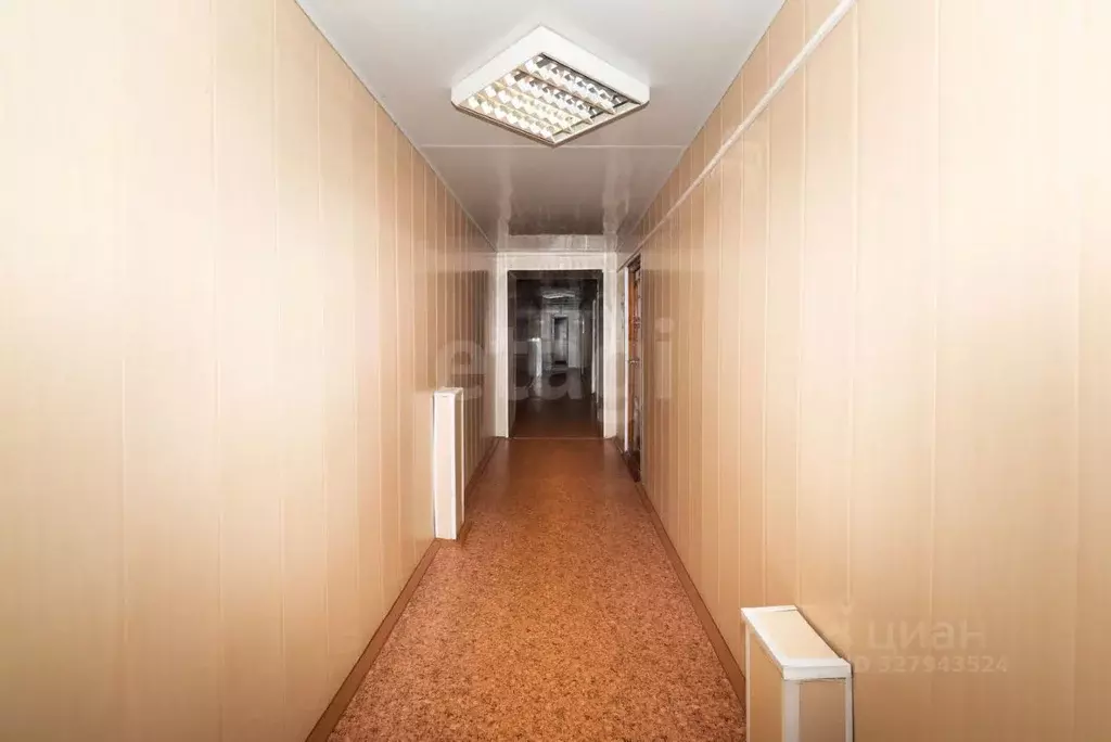 Офис в Курганская область, Курган ул. Пичугина, 11 (20 м) - Фото 2