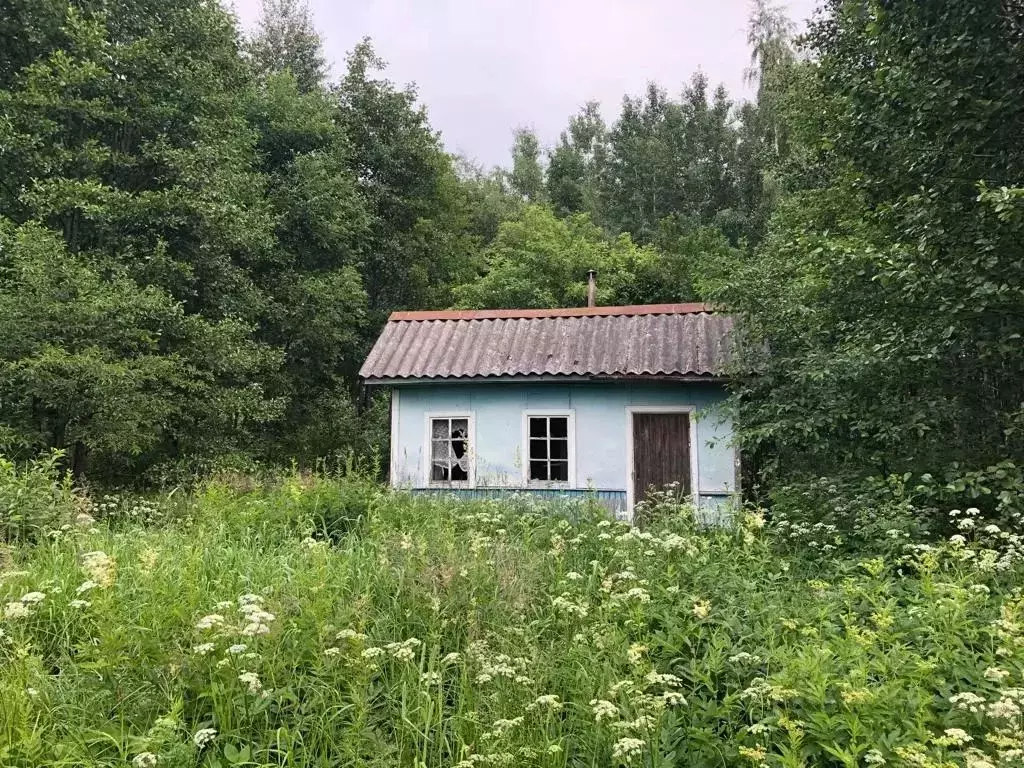 дом в ленинградская область, кингисеппский район, ивангородское . - Фото 0