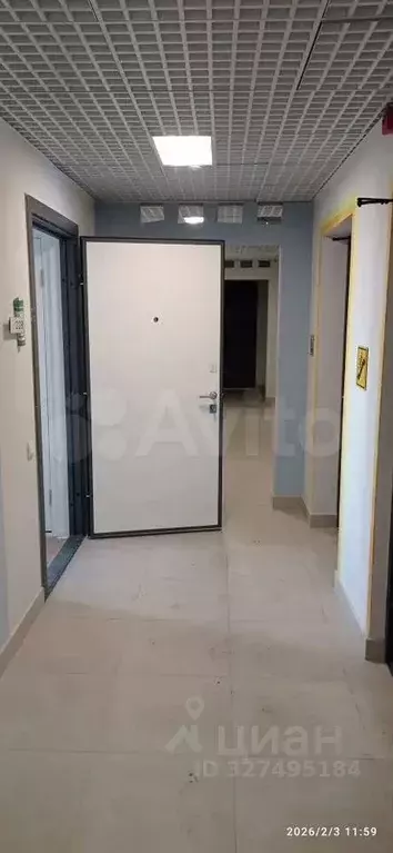 Студия Санкт-Петербург ул. Пахомовская, 25 (20.6 м) - Фото 1