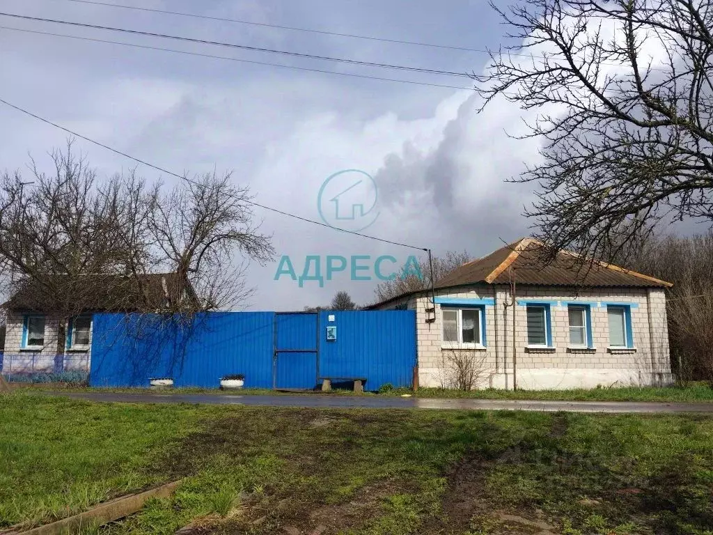 Дом в Белгородская область, Поселок Чернянка городское поселение, ... - Фото 1