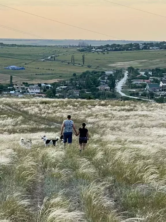 Участок в Крым, Феодосия муниципальный округ, с. Южное ул. Яны-Даг ... - Фото 2