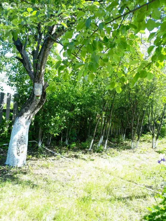 Дом в Челябинск, садовое товарищество Искра (18 м) - Фото 1