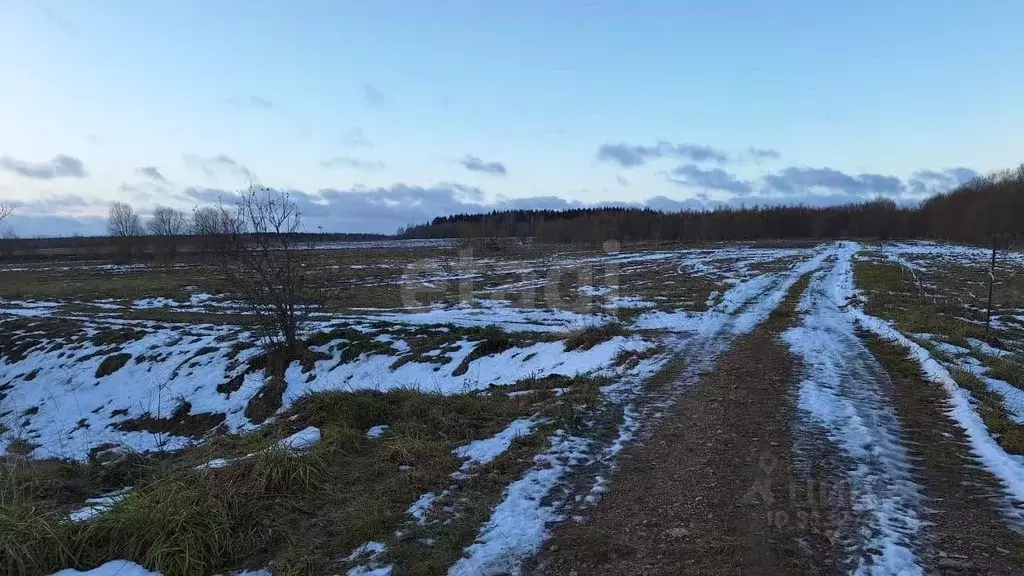 Участок в Псковская область, Печорский муниципальный округ, д. ... - Фото 1