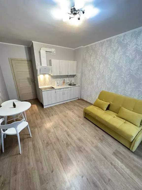 Студия Санкт-Петербург просп. Ветеранов, 169к2 (23.0 м) - Фото 2