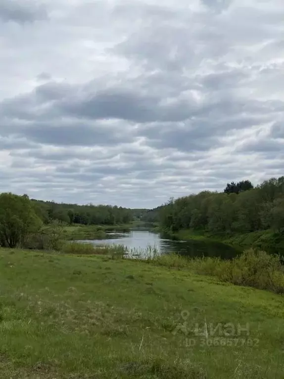 Участок в Смоленская область, Угранский муниципальный округ, д. ... - Фото 1