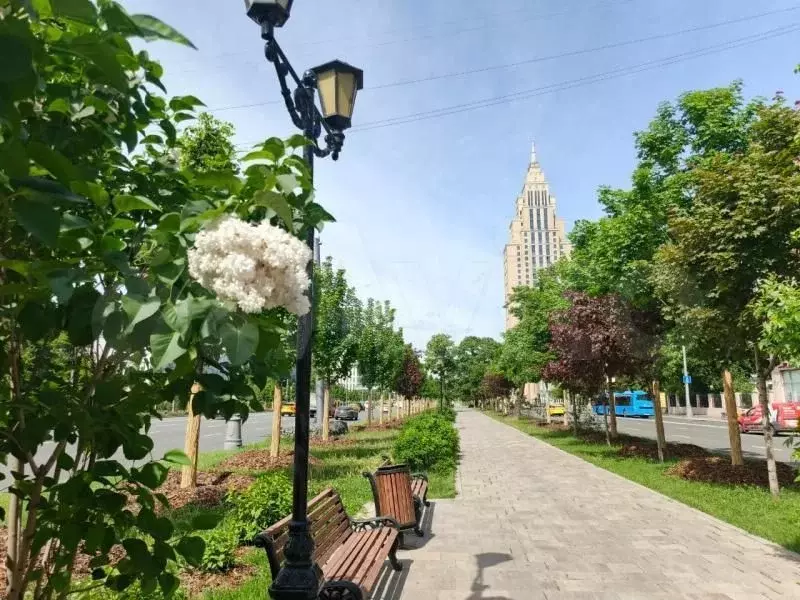 Аренда офисов 250 - 510.1 м2 м. Динамо в сао в - Фото 1