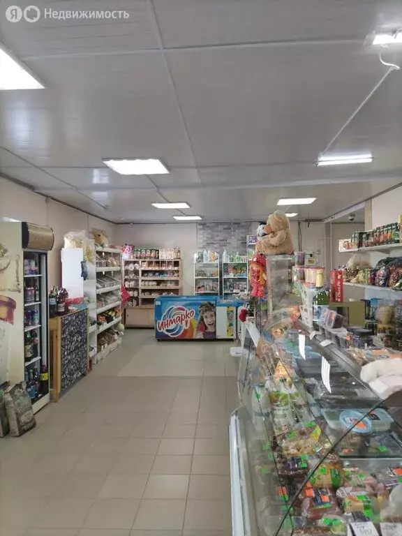 Торговая площадь (65.2 м) - Фото 0