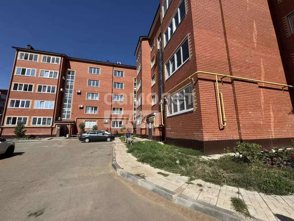 2-к кв. Оренбургская область, Бузулук ул. Фрунзе, 9 (56.0 м) - Фото 1