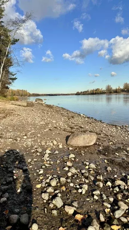 Участок в Ленинградская область, Всеволожский район, Свердловское ... - Фото 2