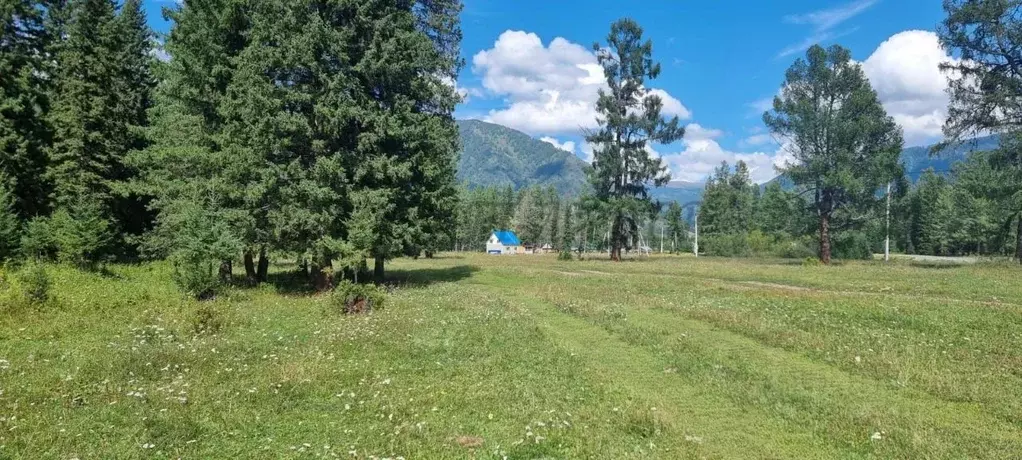 Участок в Алтай, Кош-Агачский район, с. Ташанта ул. Имангалиева (9.0 ... - Фото 1