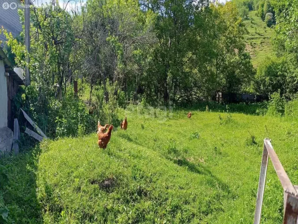 Участок в посёлок Кашхатау, улица Мечиева, 108 (10 м) - Фото 0