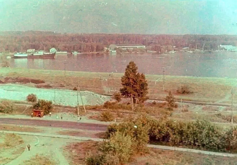 3-к кв. Новосибирская область, Новосибирск Шлюз мкр, ул. Русская (66.0 ... - Фото 1