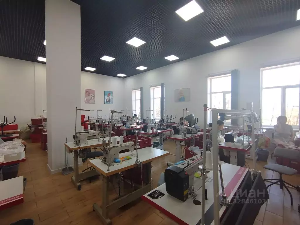 Помещение свободного назначения в Новгородская область, Великий ... - Фото 1