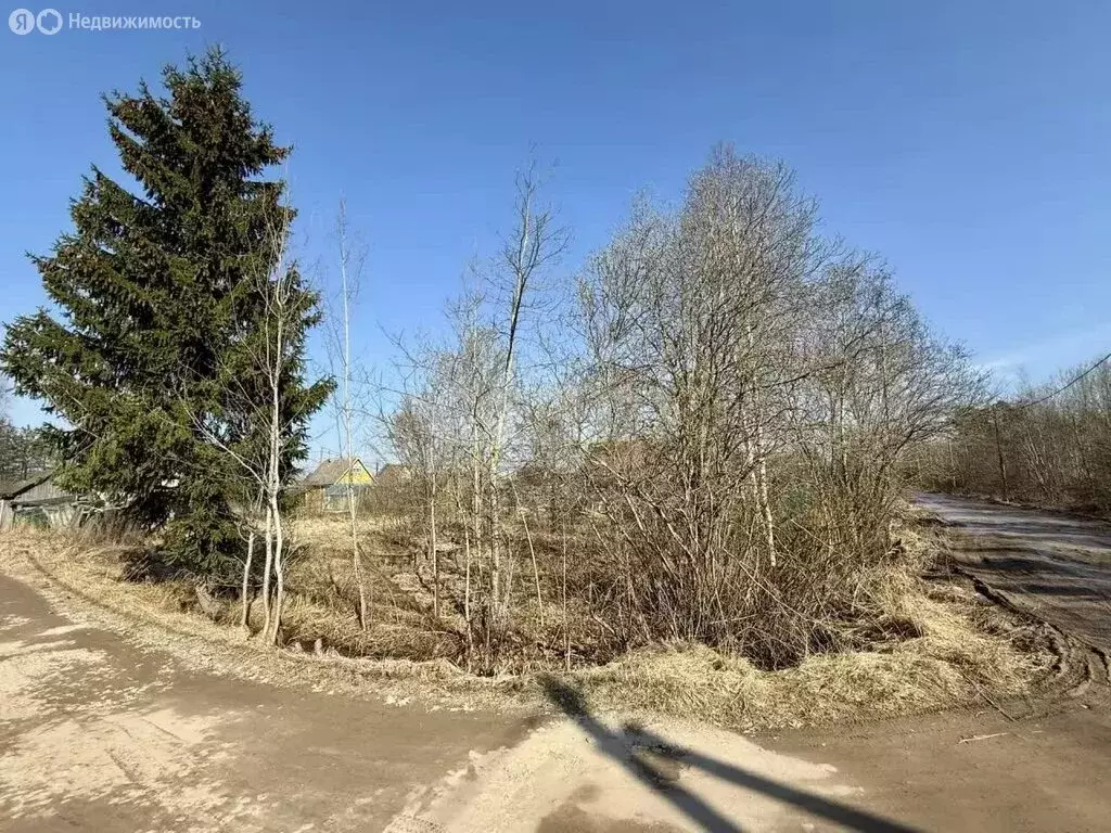Участок в Кусинское сельское поселение, садоводческое некоммерческое ... - Фото 2