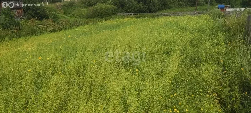 Участок в Томский район, деревня Малая Михайловка, Новая улица (4 м) - Фото 1