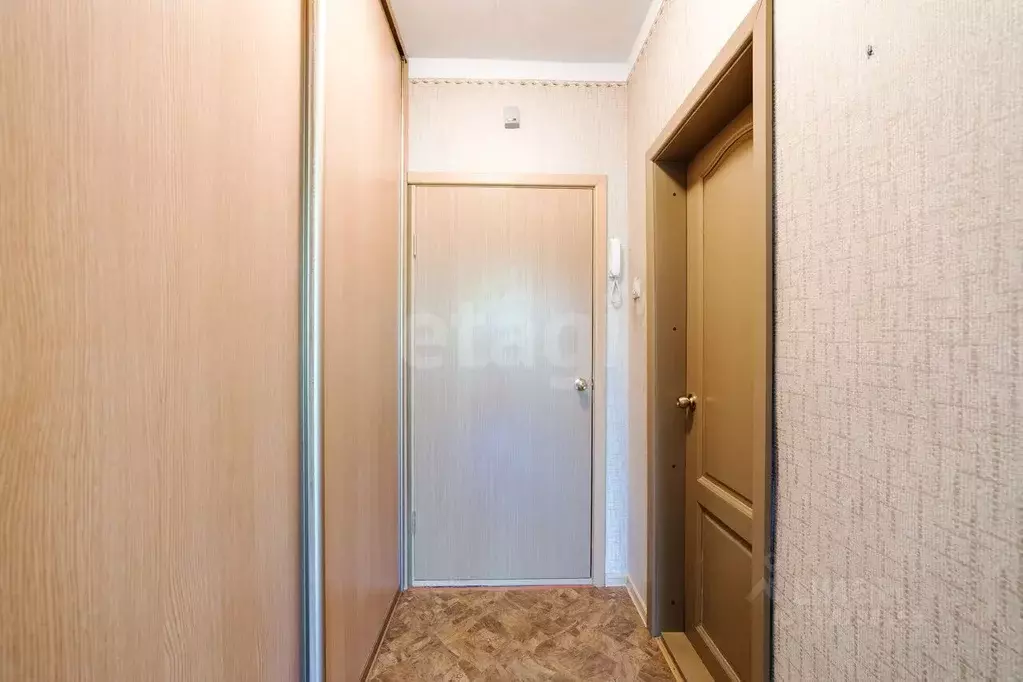 Студия Амурская область, Благовещенск городской округ, пос. ... - Фото 2