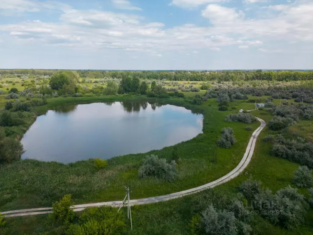 Участок в Самарская область, Ставропольский район, Выселки с/пос, с. .,  Купить земельный участок Выселки, Ставропольский район, ID объекта -  20006686579