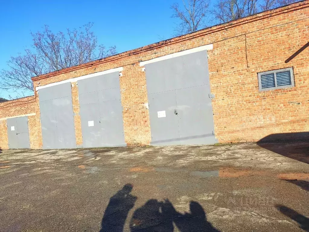 Помещение свободного назначения в Краснодарский край, Щербиновский ... - Фото 2