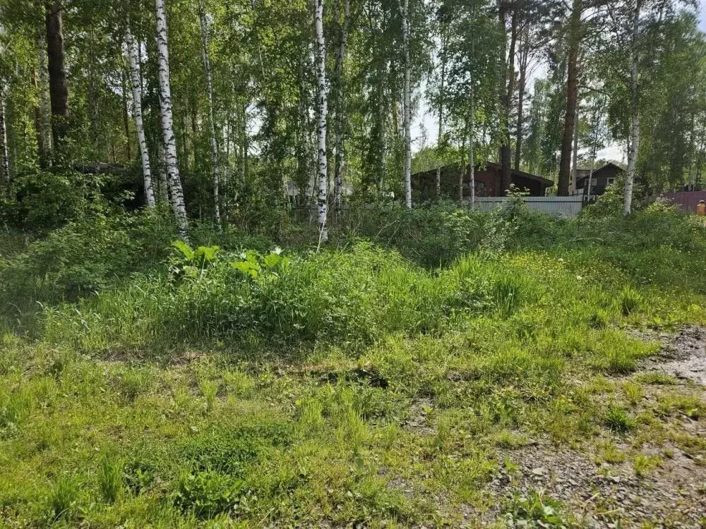 Участок в Иркутская область, Иркутский муниципальный округ, Падь ... - Фото 1