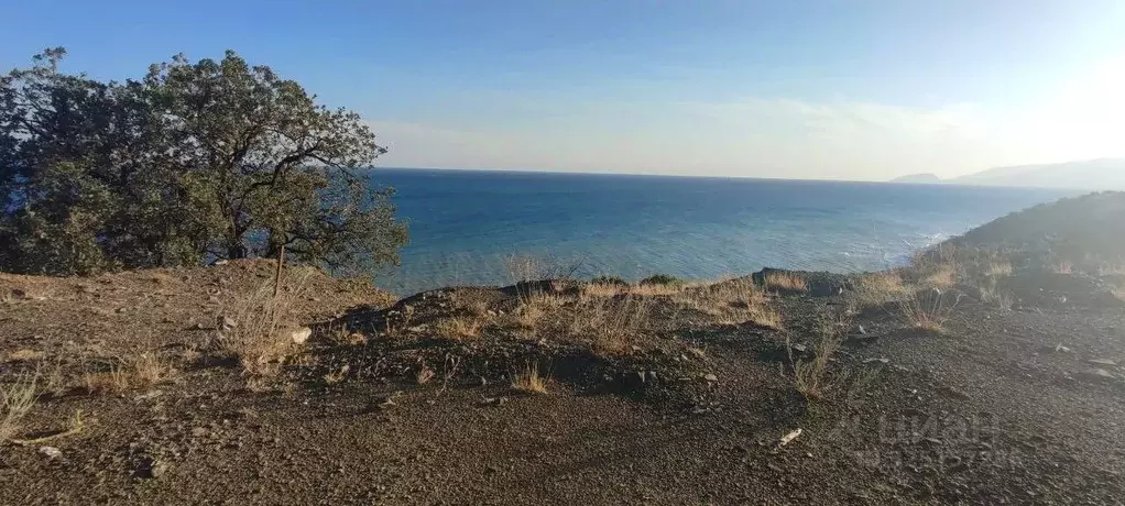 Участок в Крым, Алушта муниципальный округ, с. Приветное ул. Горького, ... - Фото 1