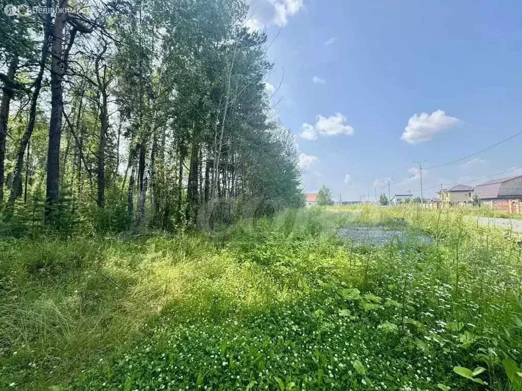 Участок в Тюменский муниципальный округ, деревня Ушакова (20 м) - Фото 1