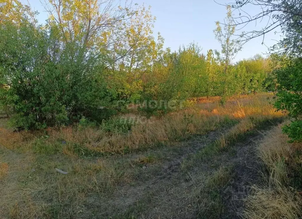 Участок в Ростовская область, Таганрог Тополь садовое товарищество, ... - Фото 1