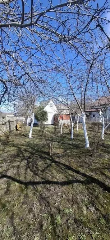 Дом в Калининградская область, Гурьевский муниципальный округ, ... - Фото 2