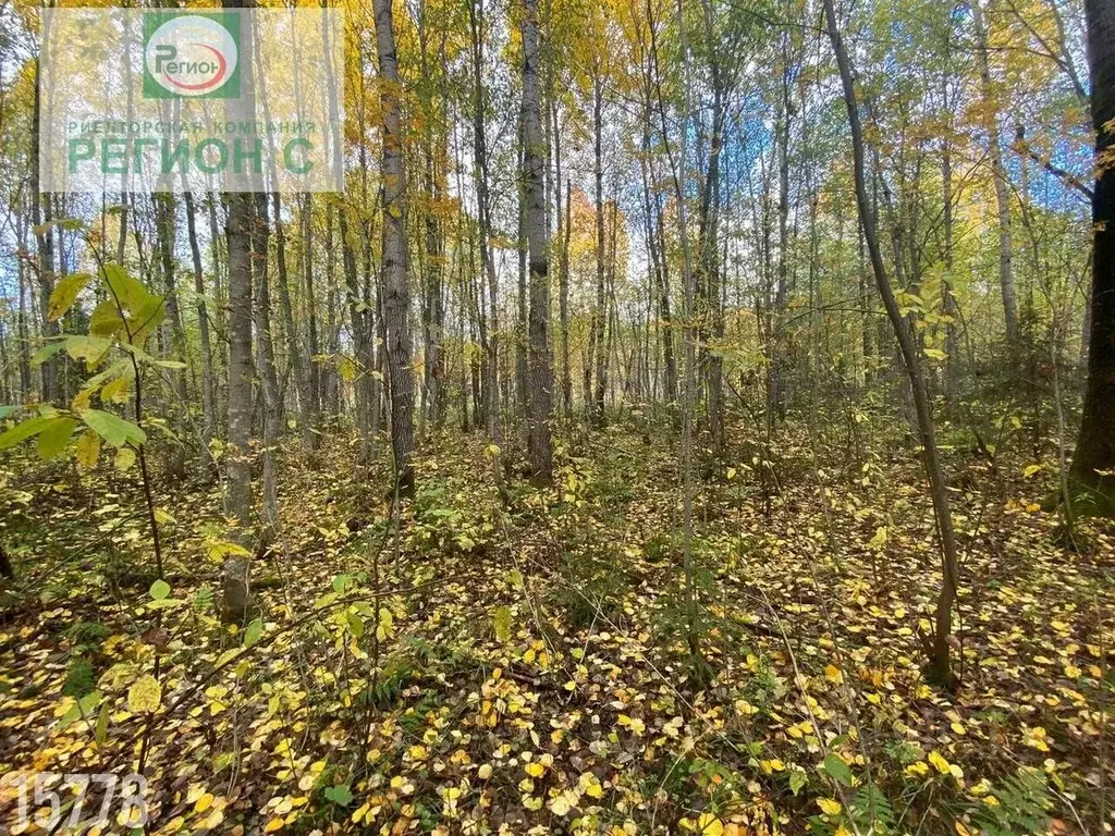 Участок в Архангельская область, Приморский муниципальный округ, д. ... - Фото 2