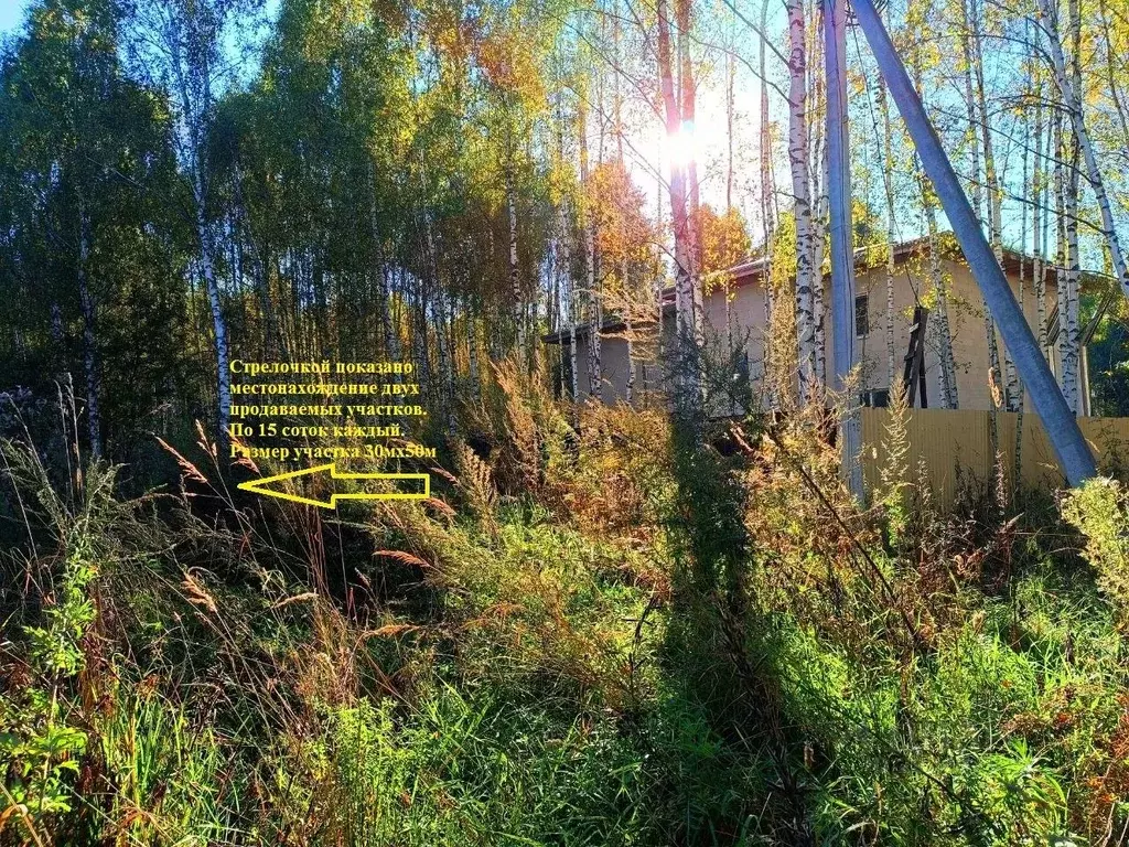 Участок в Нижегородская область, Богородский муниципальный округ, д. ... - Фото 0