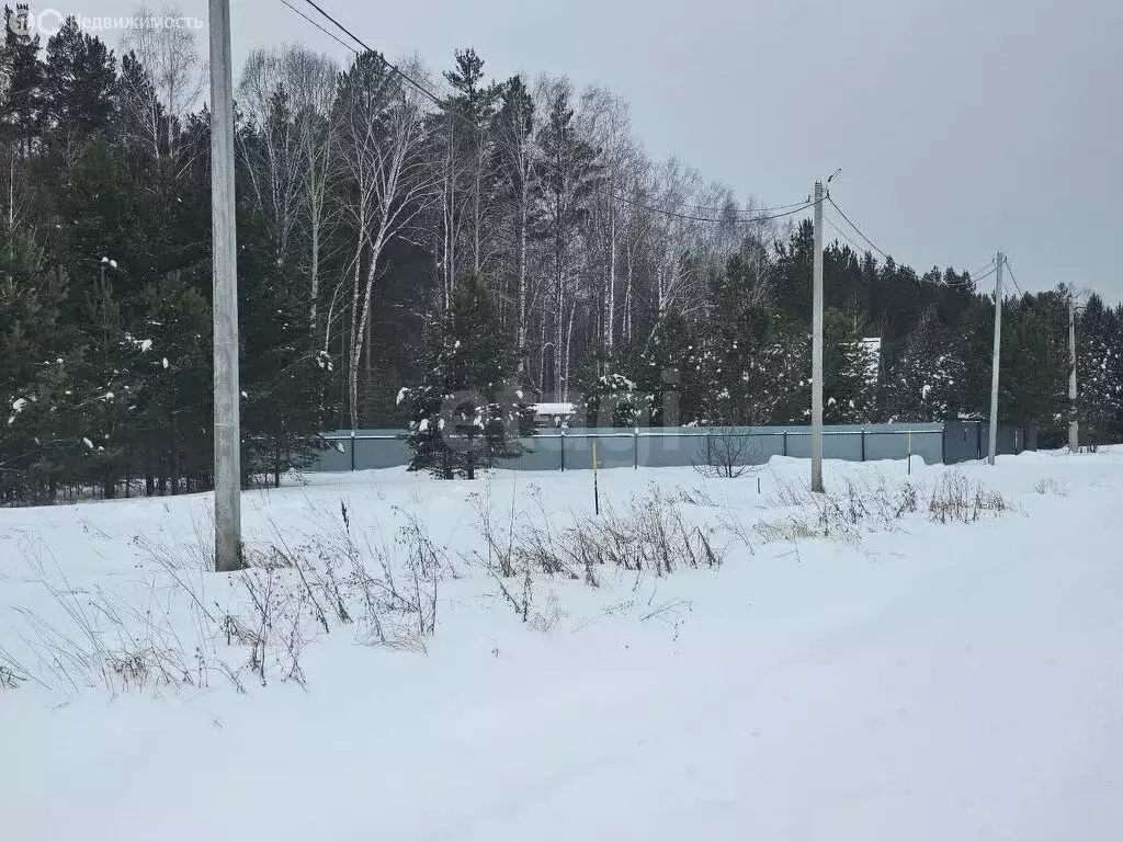 Участок в село Тюнево, Урожайная улица (15 м) - Фото 0