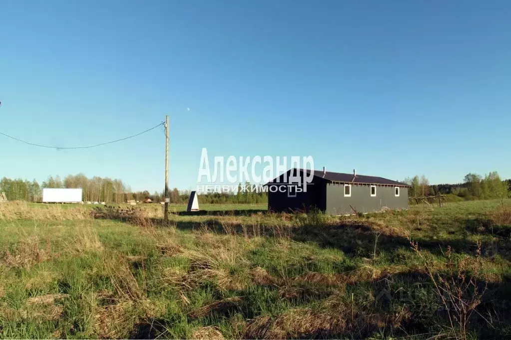 Участок в Ленинградская область, Выборгский район, Советское городское ... - Фото 1