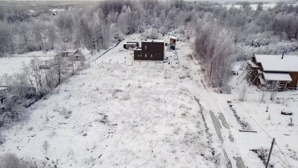 Участок в Ленинградская область, Приозерский район, Красноозерное ... - Фото 1