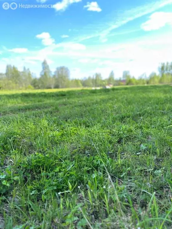 Участок в Новгородская область, Маловишерское городское поселение, ... - Фото 1