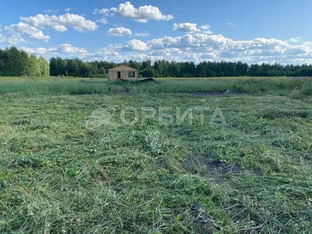 Участок в Тюменская область, Тюменский муниципальный округ, с. ... - Фото 1