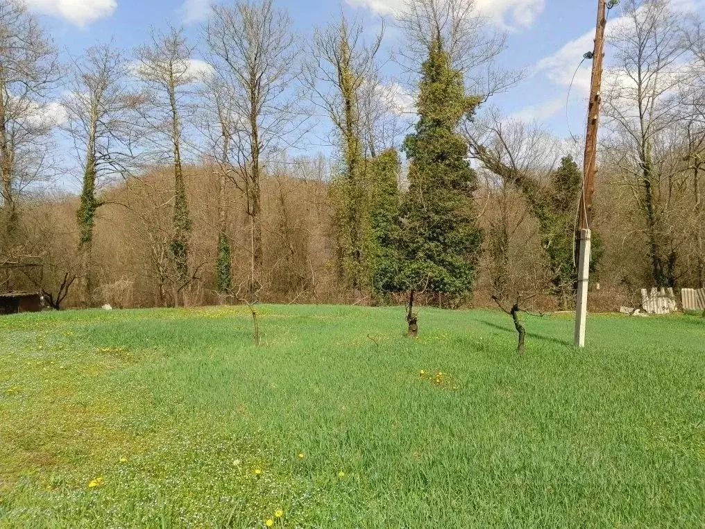 Участок в Краснодарский край, Геленджик городской округ, с. Пшада ул. ... - Фото 1