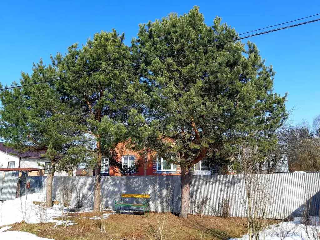 Дом в Московская область, Талдомский городской округ, д. Дубки ул. ... - Фото 1