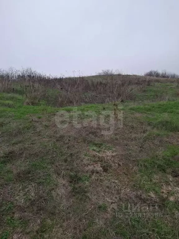 Участок в Ростовская область, Аксайский район, Большой Лог хут.  (8.26 ... - Фото 1