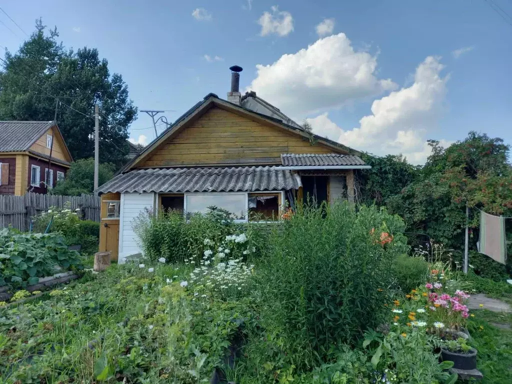 Участок в Новгородская область, Демянский муниципальный округ, с. ... - Фото 2