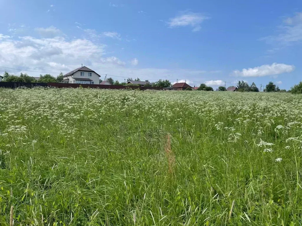 Участок в Московская область, Воскресенск городской округ, д. Цибино ... - Фото 0