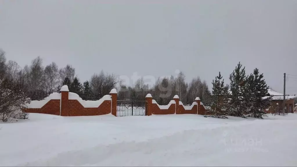 Участок в Алтайский край, Барнаул городской округ, пос. Бельмесево ул. ... - Фото 1