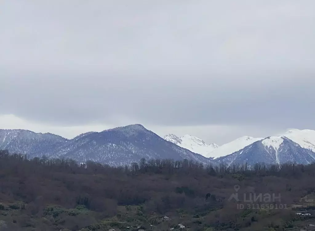 Участок в Краснодарский край, Сочи городской округ, с. Нижняя Шиловка ... - Фото 1