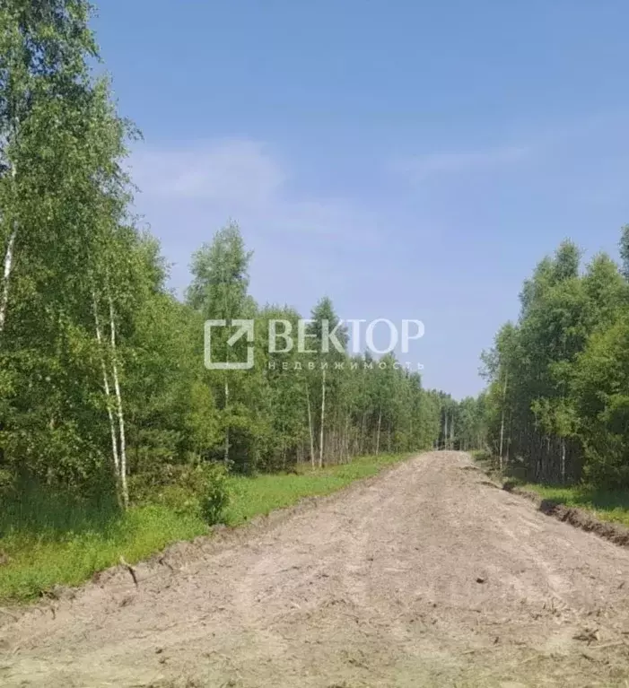 Участок в Ивановская область, Лежневское с/пос, д. Мальчиха  (10.0 ... - Фото 0