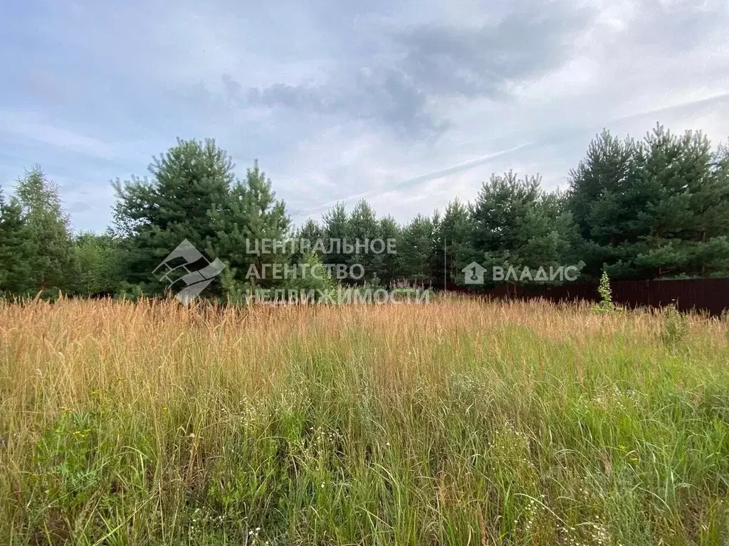 Участок в Рязанская область, Клепиковский район, Ненашкинское с/пос, ... - Фото 1