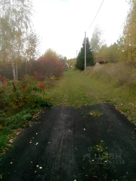 Участок в Московская область, Солнечногорск городской округ, д. ... - Фото 1