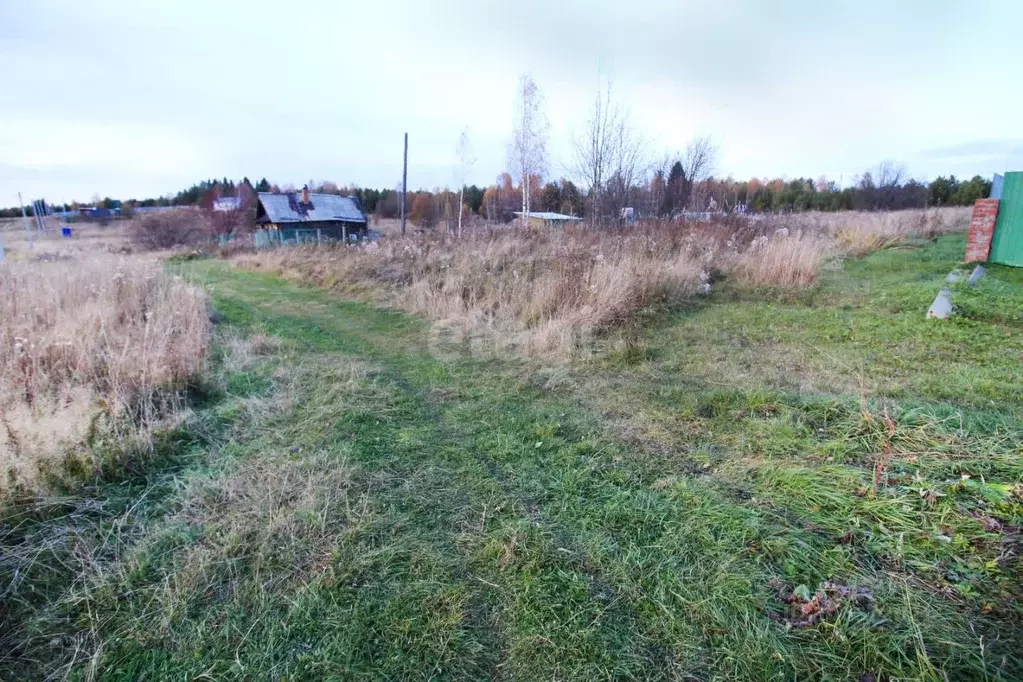 Участок в Свердловская область, Нижний Тагил городской округ, пос. ... - Фото 0